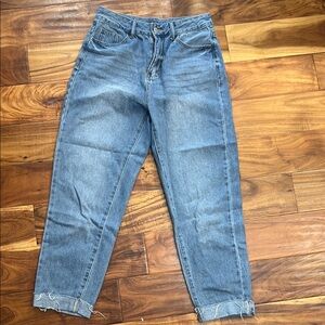 SHEIN Blue Denim Pants